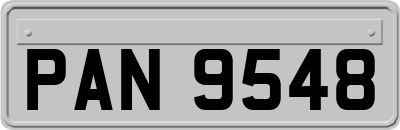 PAN9548