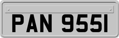 PAN9551