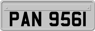 PAN9561