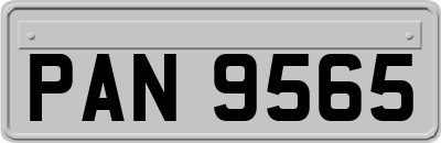 PAN9565