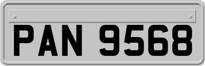 PAN9568