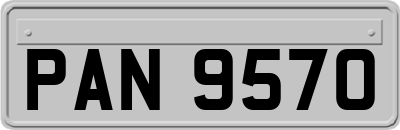 PAN9570