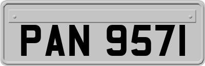PAN9571