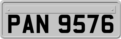 PAN9576