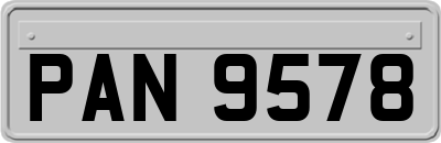 PAN9578