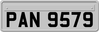 PAN9579