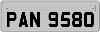 PAN9580