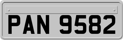 PAN9582