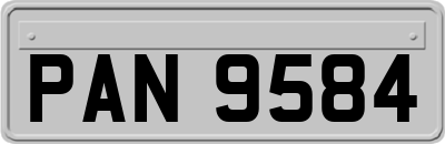 PAN9584