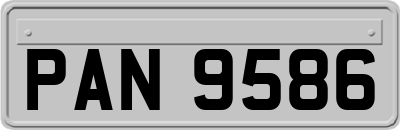 PAN9586
