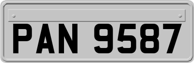PAN9587