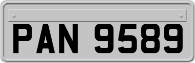 PAN9589