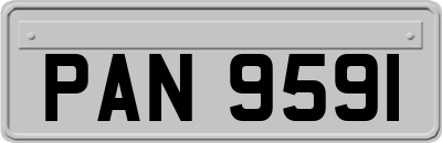 PAN9591