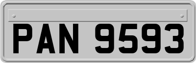 PAN9593