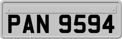PAN9594