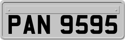 PAN9595