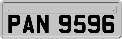 PAN9596