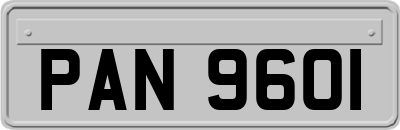 PAN9601