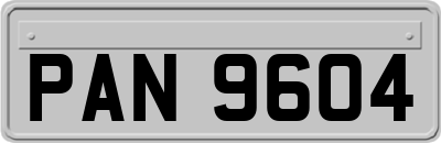 PAN9604