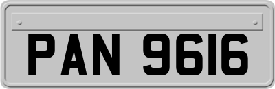 PAN9616
