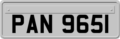 PAN9651