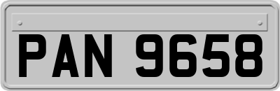 PAN9658