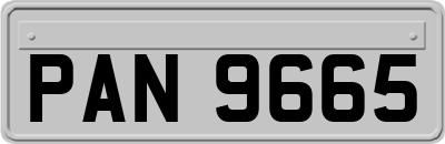 PAN9665