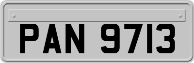 PAN9713