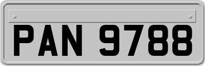 PAN9788