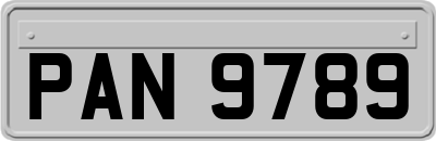 PAN9789