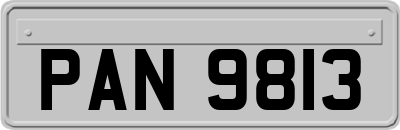 PAN9813