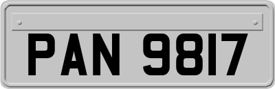 PAN9817