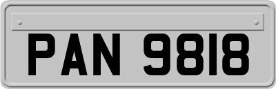 PAN9818