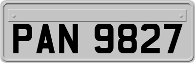 PAN9827