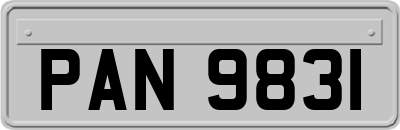 PAN9831
