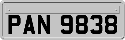 PAN9838