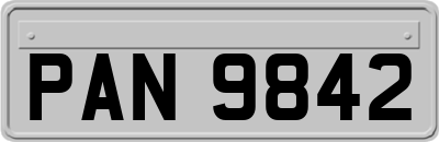 PAN9842