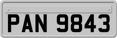 PAN9843