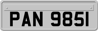 PAN9851