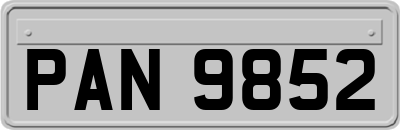 PAN9852