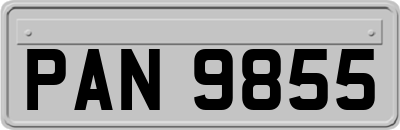 PAN9855