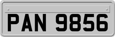 PAN9856