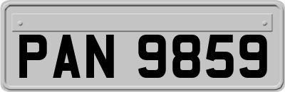 PAN9859