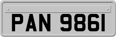 PAN9861