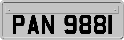 PAN9881