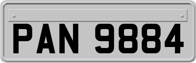 PAN9884