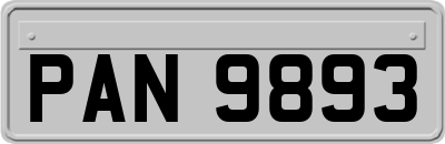 PAN9893