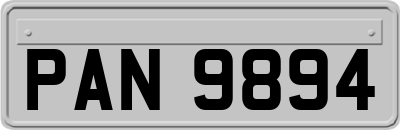 PAN9894