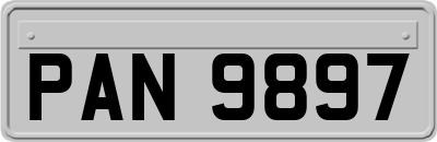 PAN9897