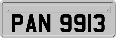 PAN9913